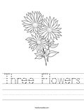 Three Flowers Worksheet