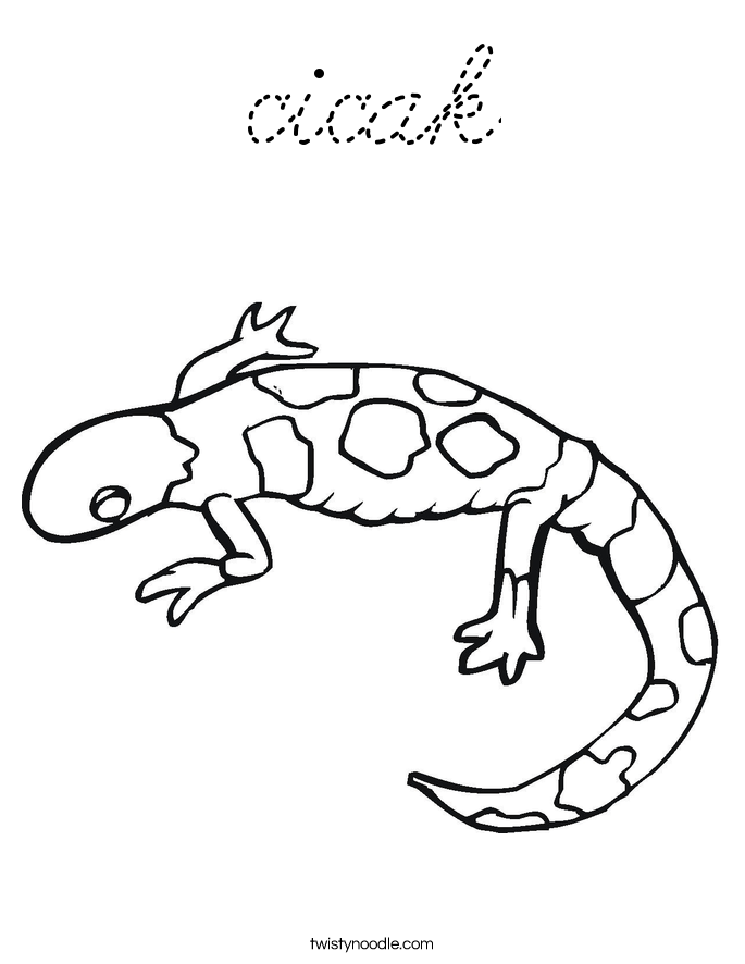  Coloring Page