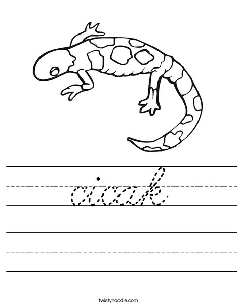 Gecko Worksheet