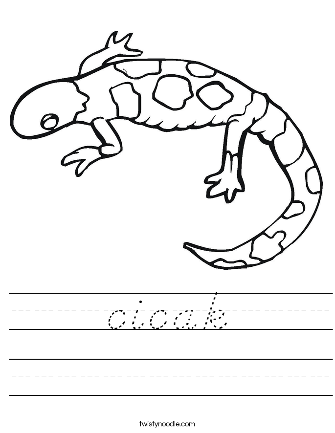 cicak Worksheet