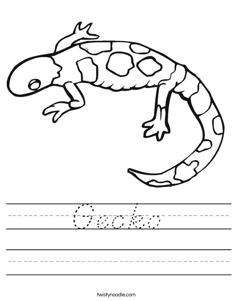 Gecko Worksheet