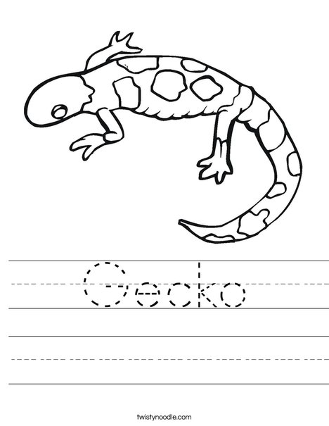 Gecko Worksheet