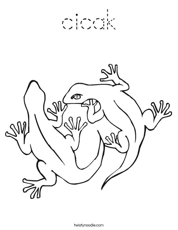 cicak Coloring Page