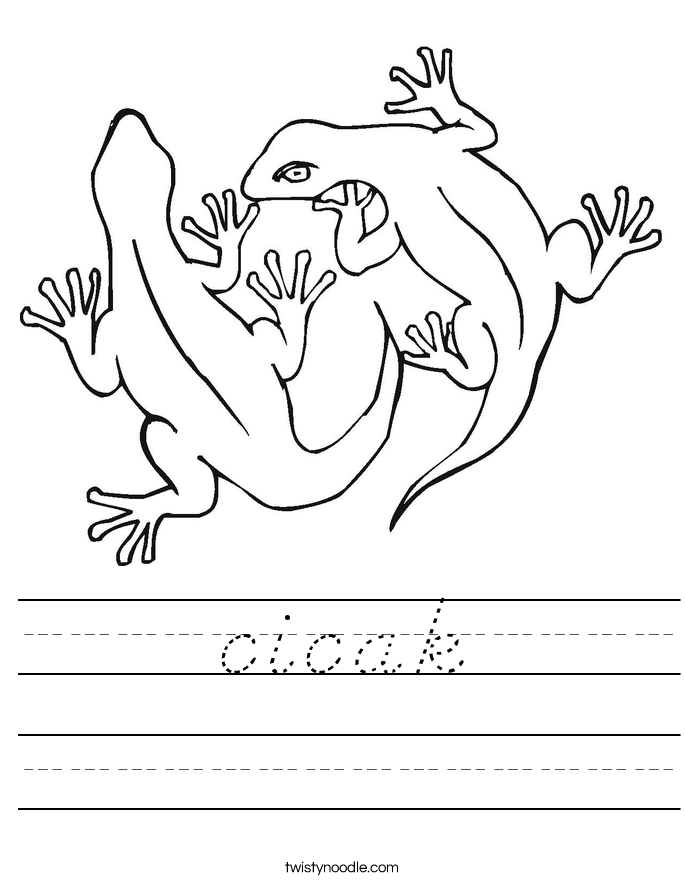 cicak Worksheet