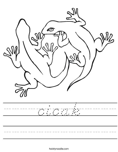 Two Geckos Worksheet