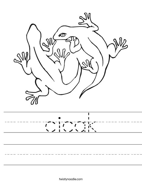 Two Geckos Worksheet