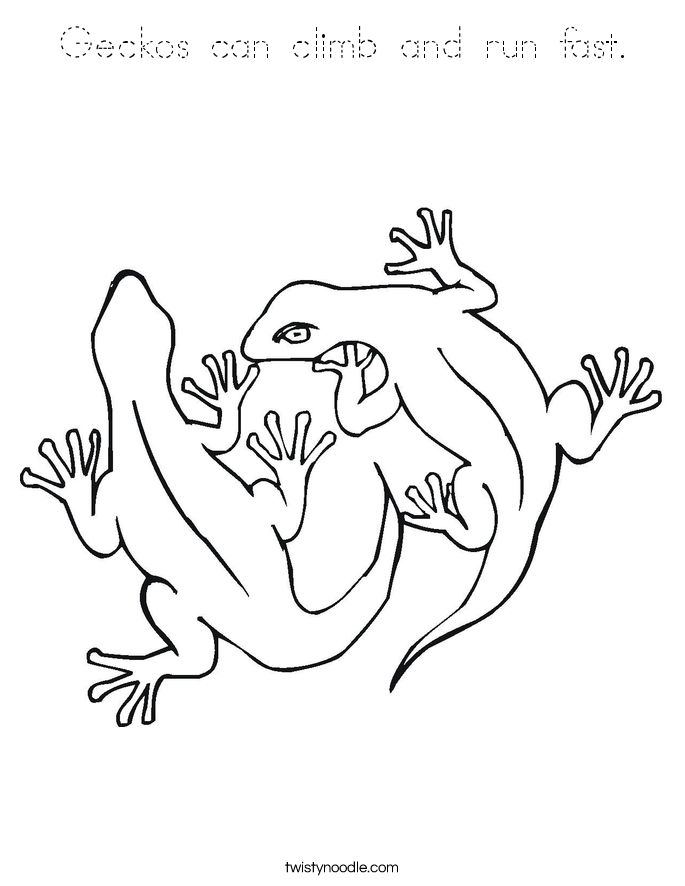 Geckos can climb and run fast. Coloring Page