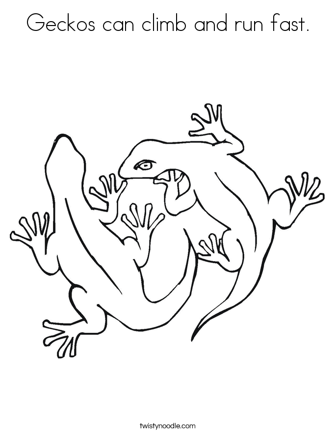 Geckos can climb and run fast. Coloring Page