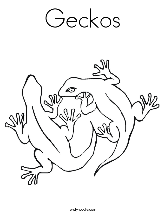 Geckos Coloring Page