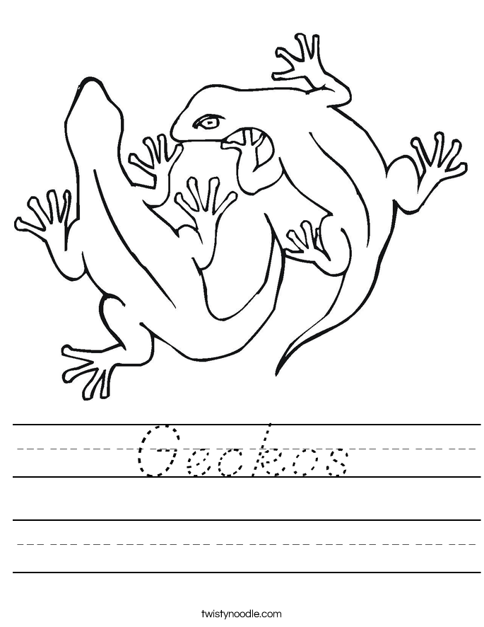 Geckos Worksheet