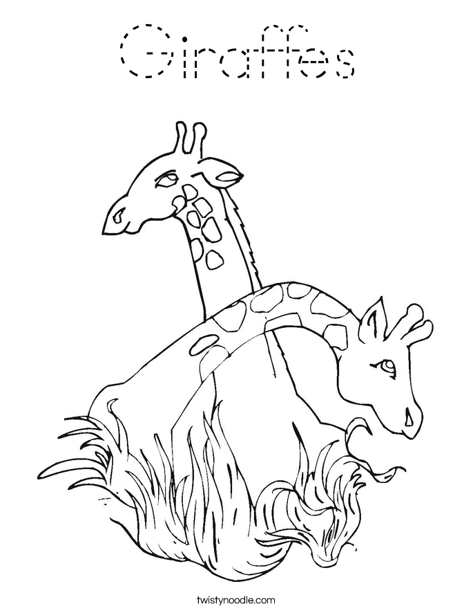 Giraffes Coloring Page