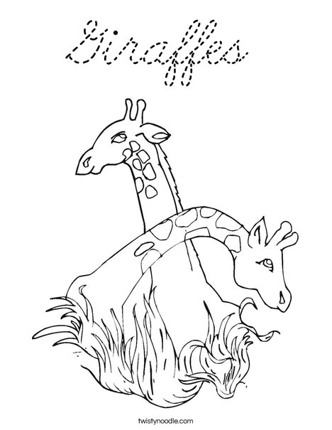 Giraffes Coloring Page
