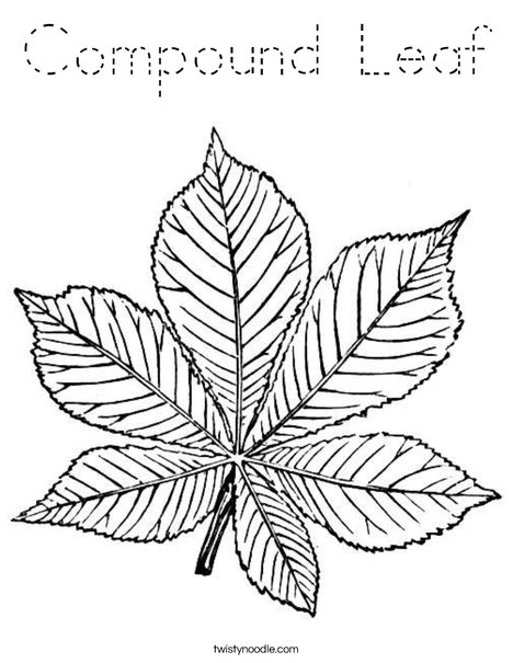Green Leaf Coloring Page