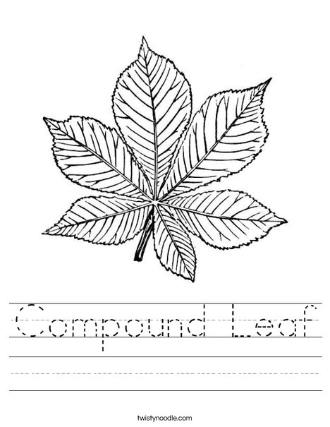 Green Leaf Worksheet