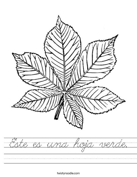 Green Leaf Worksheet