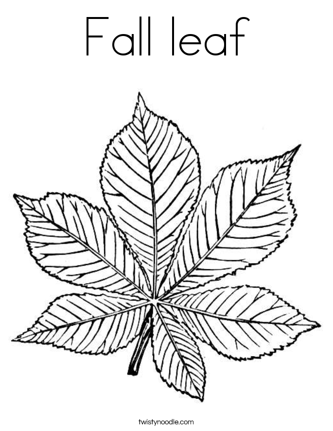 Fall leaf Coloring Page