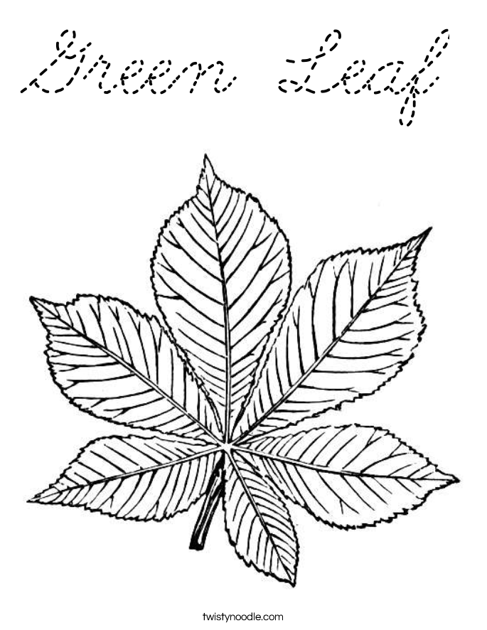  Coloring Page