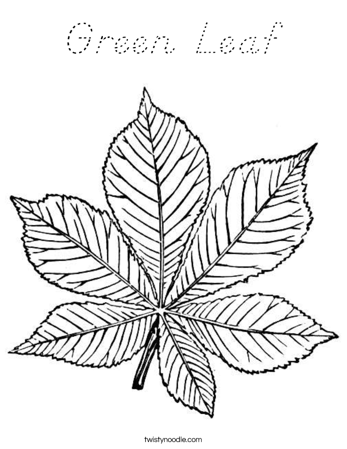 Green Leaf Coloring Page