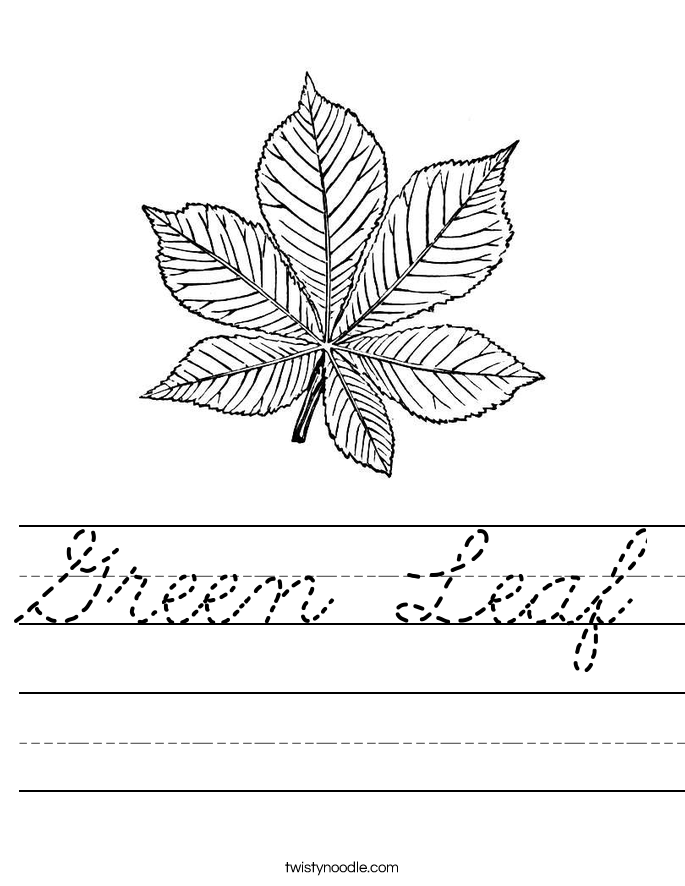 Green Leaf Worksheet