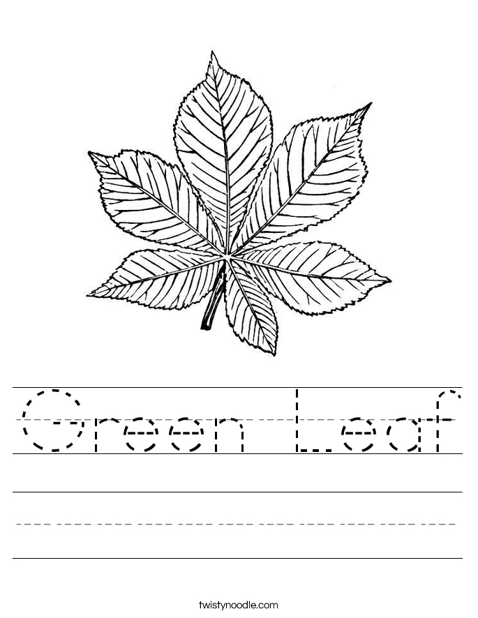 Green Leaf Worksheet