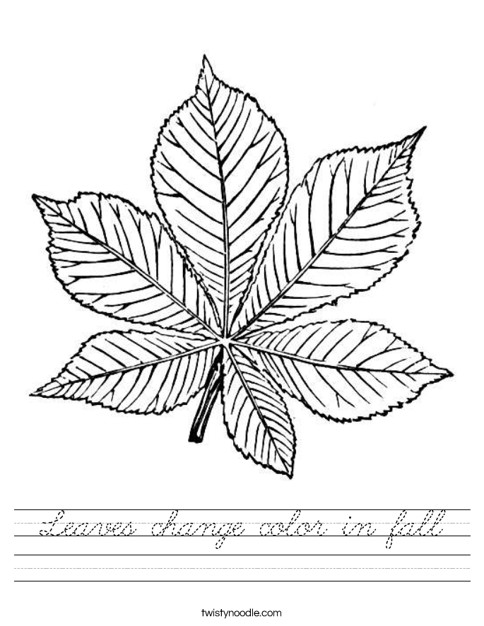Leaves change color in fall Worksheet