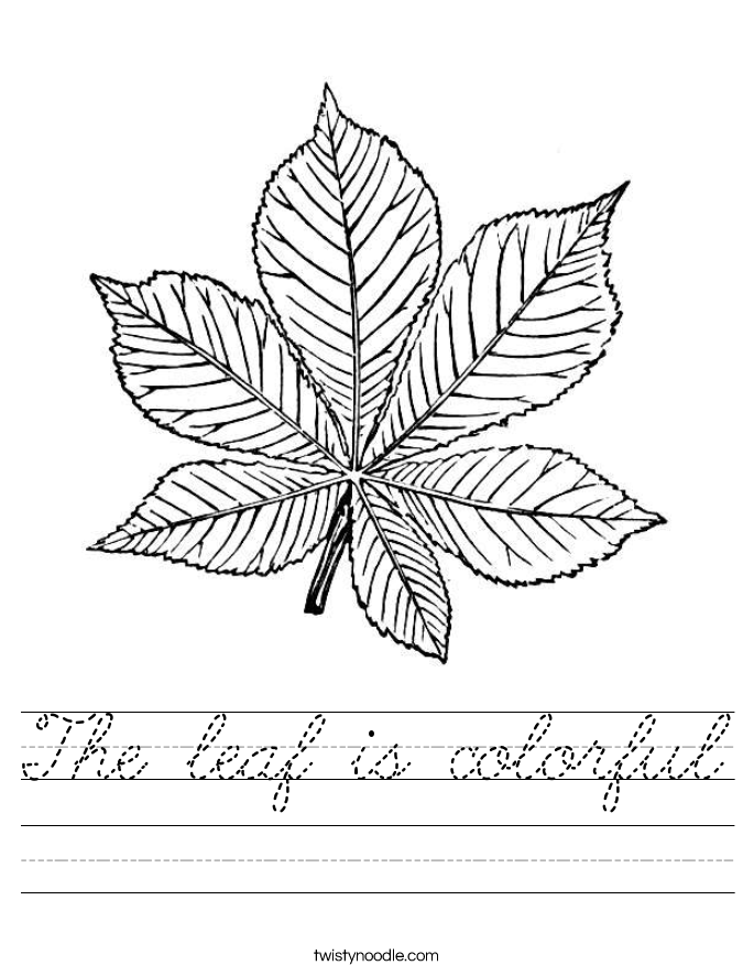 The leaf is colorful Worksheet