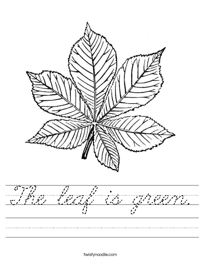 The leaf is green. Worksheet