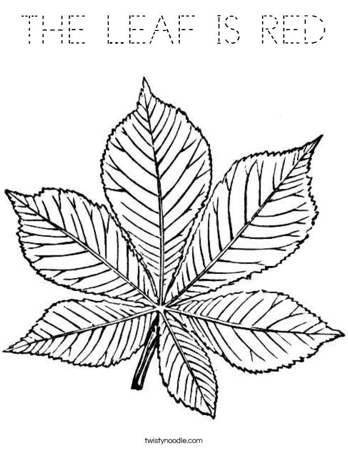 THE LEAF IS RED Coloring Page