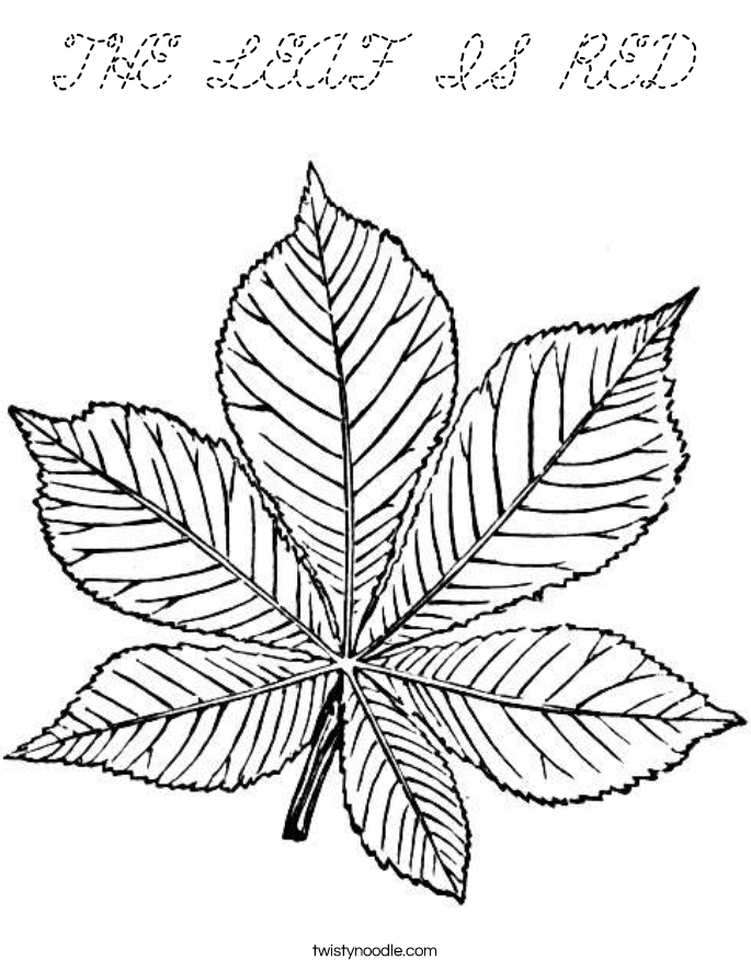  Coloring Page