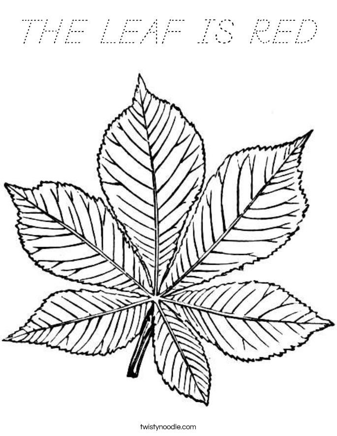 THE LEAF IS RED Coloring Page