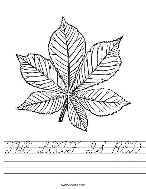 Green Leaf Worksheet