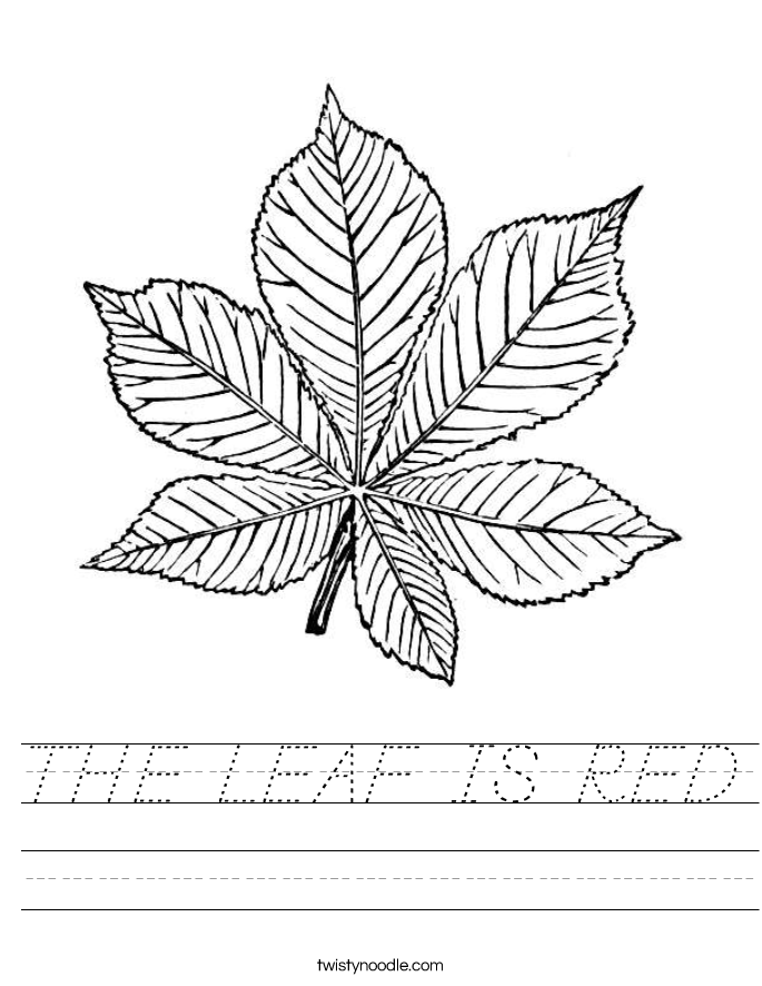 THE LEAF IS RED Worksheet