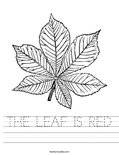 THE LEAF IS RED Worksheet