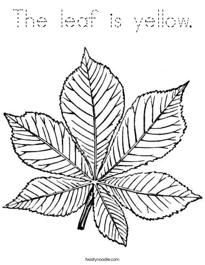 The leaf is yellow. Coloring Page