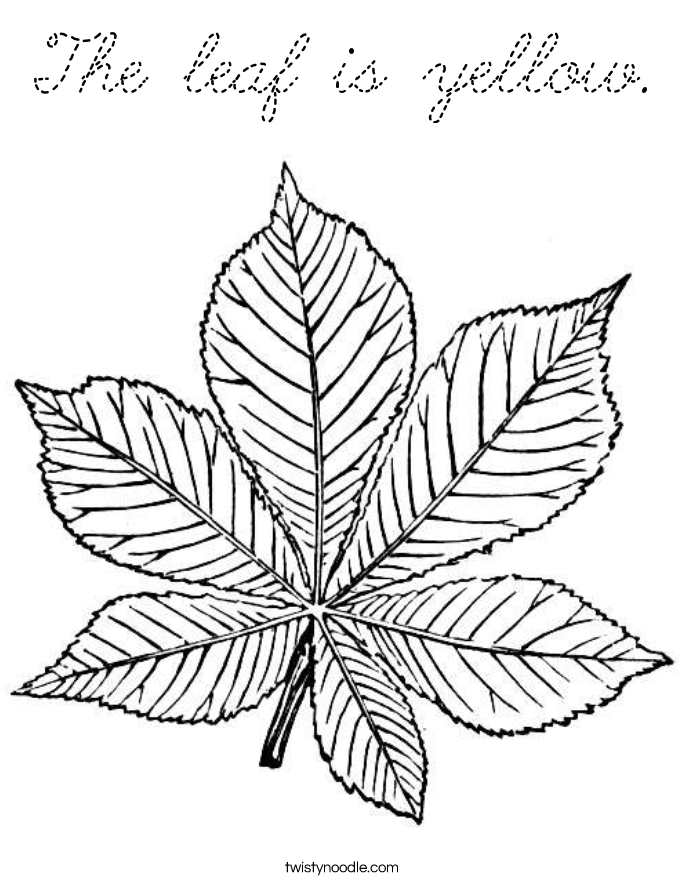 Coloring Page