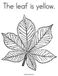 The leaf is yellow. Coloring Page