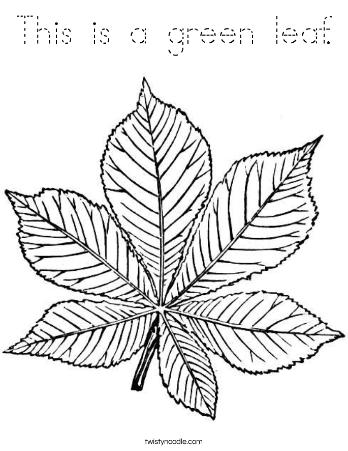 This is a green leaf. Coloring Page