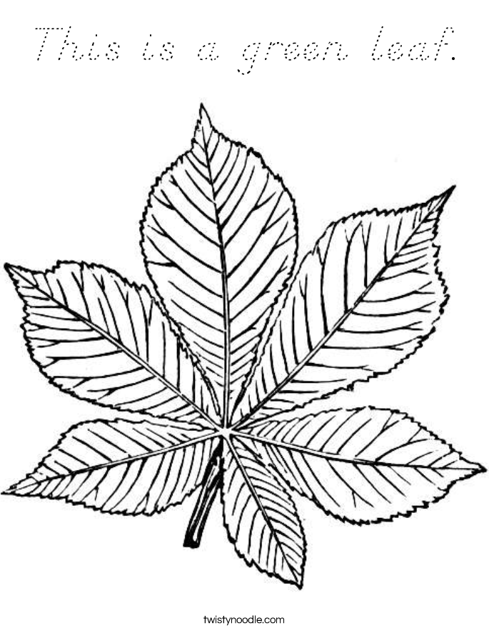 This is a green leaf. Coloring Page