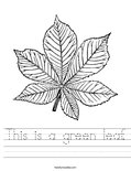 This is a green leaf. Worksheet