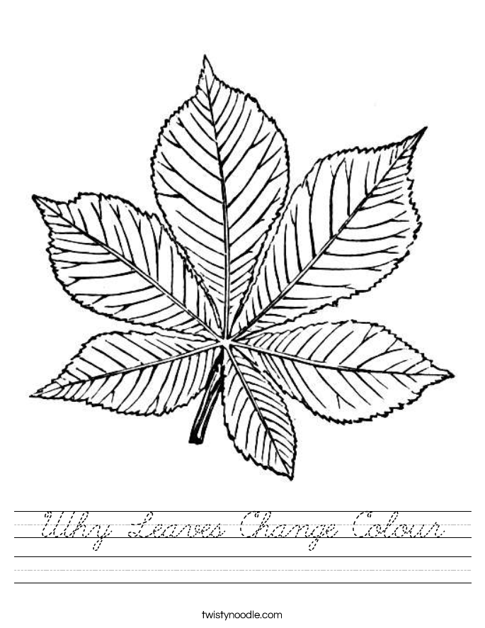 Why Leaves Change Colour Worksheet