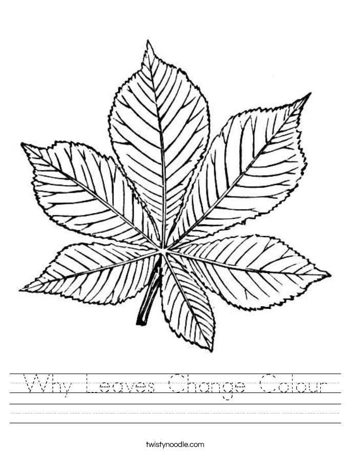 Why Leaves Change Colour Worksheet