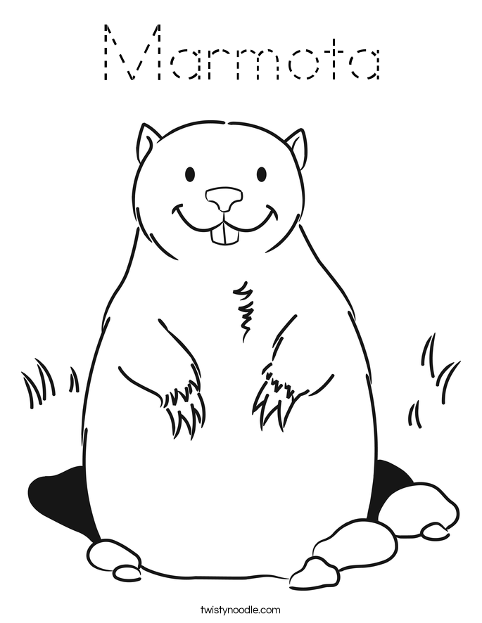 Marmota Coloring Page