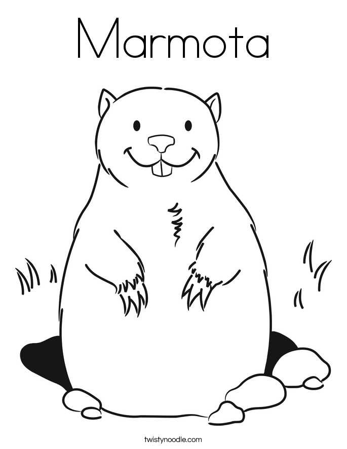 Marmota Coloring Page