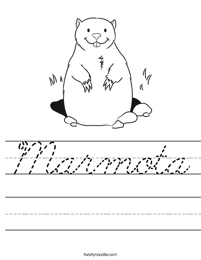 Marmota Worksheet