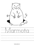 Marmota Worksheet