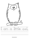 I am a little owl. Worksheet