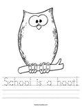 School is a hoot! Worksheet