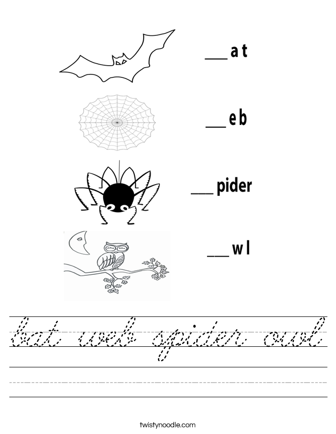 bat web spider owl Worksheet