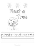 plants and seeds Worksheet