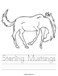 Sterling Mustangs Worksheet